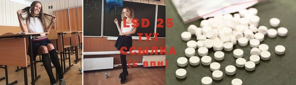 индика Абинск