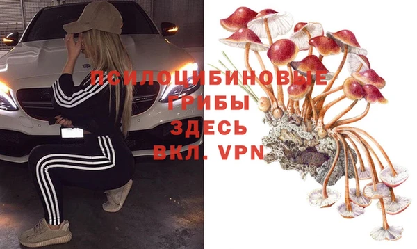 mdpv Сатка