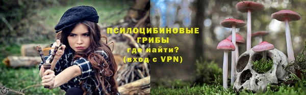 хмурый Алексин