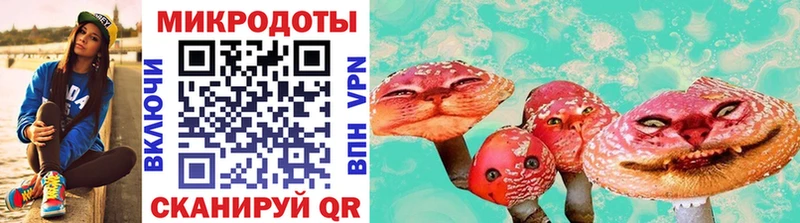 Псилоцибиновые грибы Magic Shrooms  продажа наркотиков  Елизово 